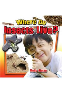 Where Do Insects Live?