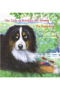 The Tails of Brinkley the Berner: Book One