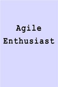 Agile Enthusiast