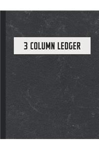 3 Column Ledger