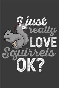 I Just Really Love Squirrels, Ok?