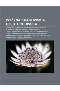 WY Yna Krakowsko-Cz Stochowska