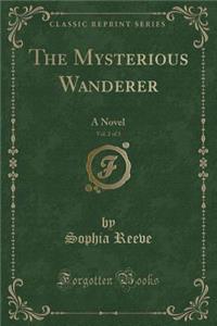 The Mysterious Wanderer, Vol. 2 of 3: A Novel (Classic Reprint)