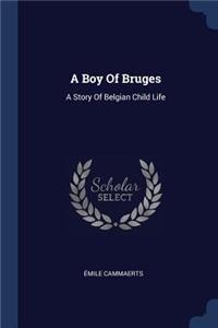 Boy Of Bruges