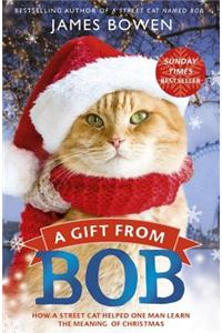 A Gift from Bob