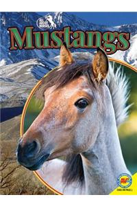 Mustangs