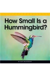 How Small Is a Hummingbird?
