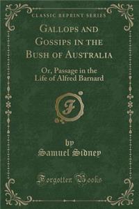 Gallops and Gossips in the Bush of Australia