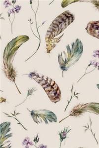 When Feathers Appear Angels Are Near