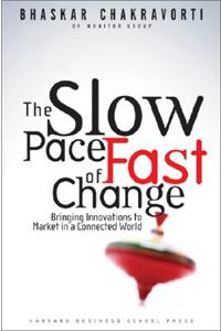 The Slow Pace of Fast Change