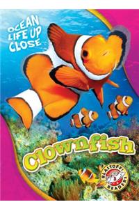 Clownfish