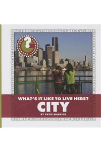 What's It Like to Live Here? City