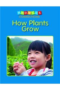 How Plants Grow