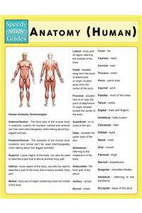 Anatomy (Human) (Speedy Study Guide)