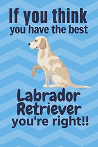 If you think you have the best Labrador Retriever you're right!!