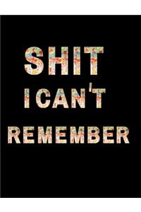Shit I Can't Remember