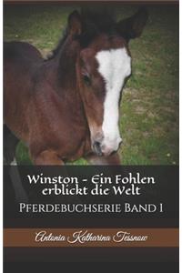 Winston - Ein Fohlen erblickt die Welt