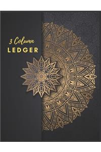 3 Column Ledger