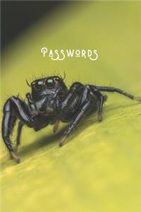 Passwords