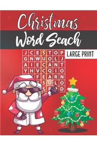 Christmas Word Search Large Print