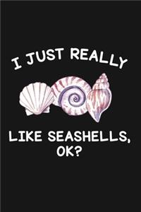 I Just Really Like Seashells Ok