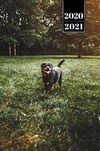 Rottweiler Dog Calendar Week Planner 2020 / 2021 - On the Meadow