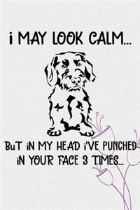 I May Look Calm But In My Head I've Punched In Your Face 3 Times