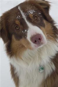 Australian Shepherd, Say What! Journal