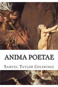 Anima Poetae