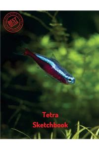 Tetra Sketchbook