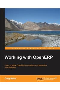 Working with Openerp
