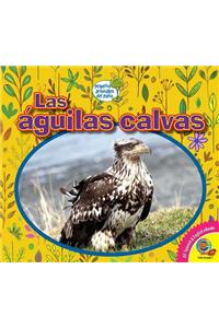 Las Aguilas Calvas