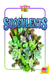 Succulents