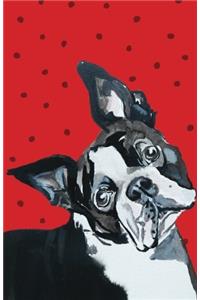 Bullet Journal for Dog Lovers Boston Terrier: 162 Numbered Pages with 150 Graph Style Grid Pages, 6 Index Pages and 2 Key Pages in Easy to Carry 5.5 X 8.5 Size.