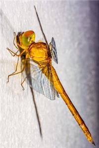 Golden Dragonfly Journal