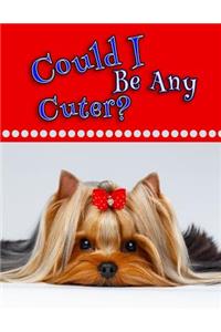 Could I Be Any Cuter?