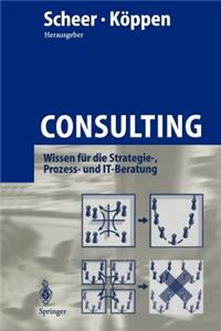 Consulting: Wissen Fur Die Strategie-, Prozess- Und It-Beratung (Softcover Reprint of the Origi)