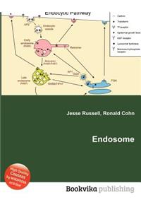 Endosome