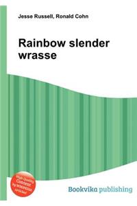 Rainbow Slender Wrasse