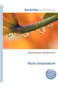 Sium Bracteatum