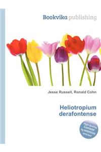 Heliotropium Derafontense
