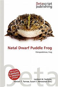 Natal Dwarf Puddle Frog
