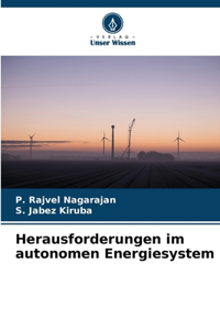 Herausforderungen im autonomen Energiesystem