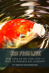 Koi Fish Live