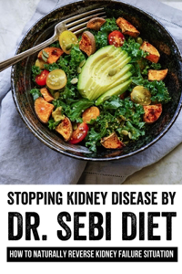Stopping Kidney Disease By Dr. Sebi Diet