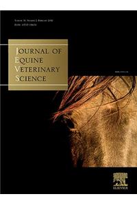 Age-Proof Your Brain