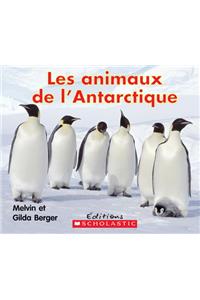 Les Animaux de l'Antarctique