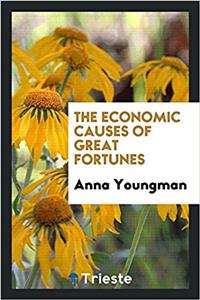 THE ECONOMIC CAUSES OF GREAT FORTUNES