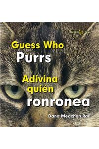 Adivina Quién Ronronea / Guess Who Purrs