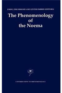 Phenomenology of the Noema